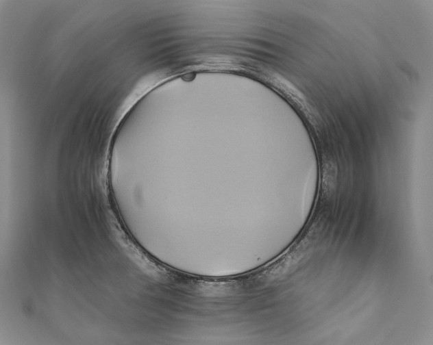 X0000110971378200907101340