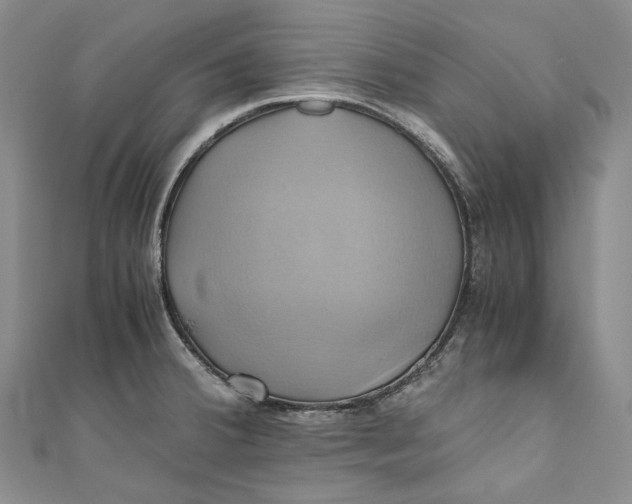 X0000110971380200907101340