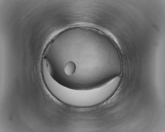 X0000110971381200907101340