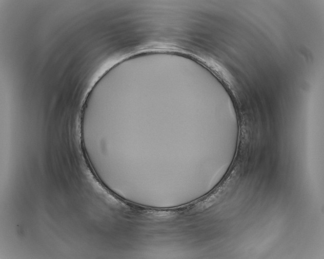 X0000110971382200907101340