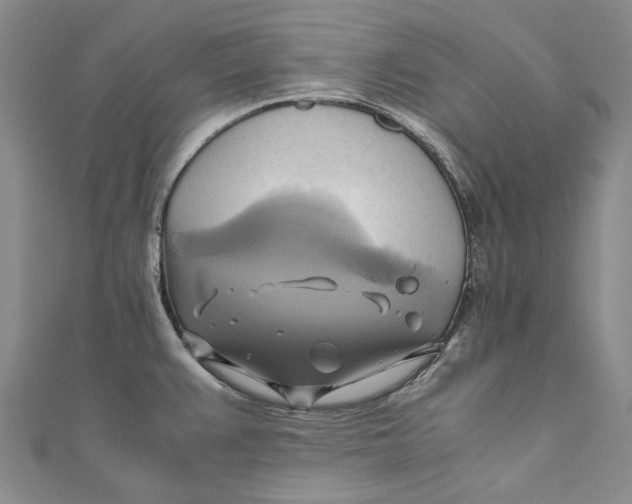 X0000110971383200907101339