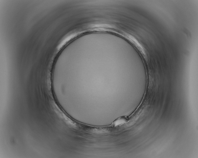 X0000110971384200907101339