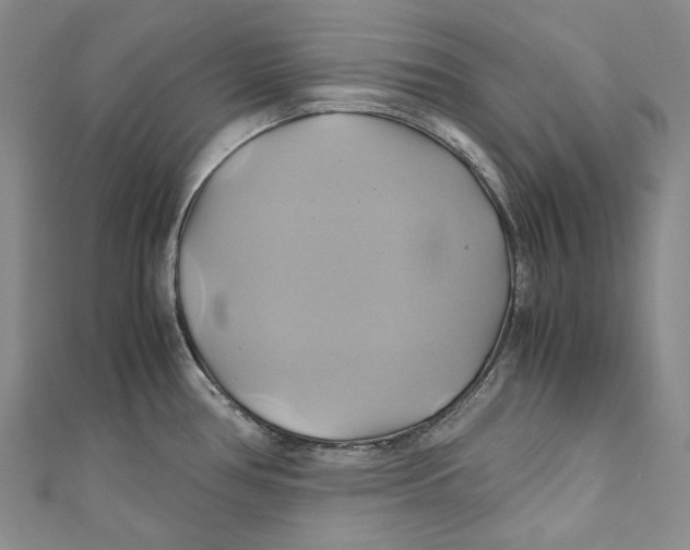 X0000110971386200907101339