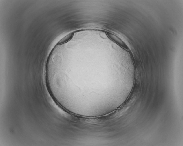 X0000110971387200907101339