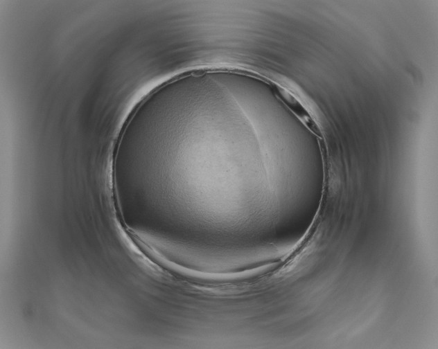 X0000110971388200907101339