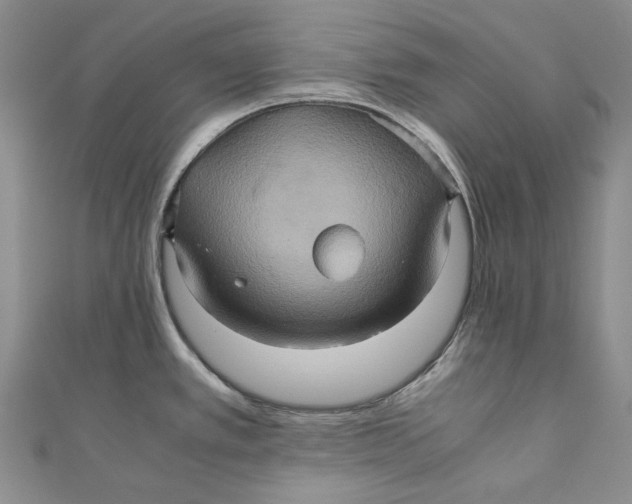 X0000110971389200907101339