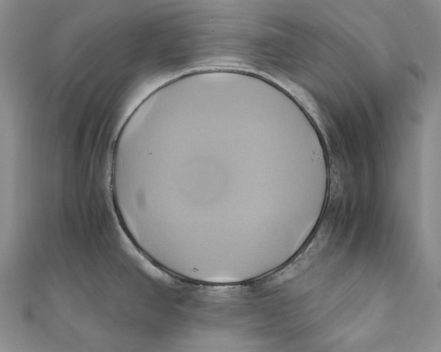 X0000110971390200907101339