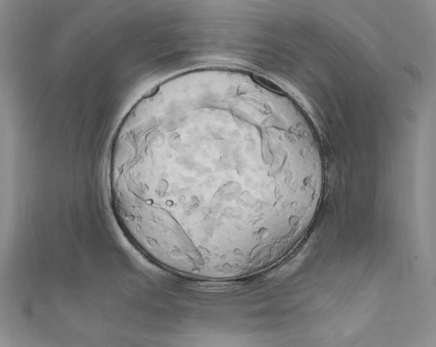 X0000110971391200907101339