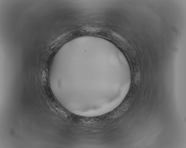 X0000110971397200907101339