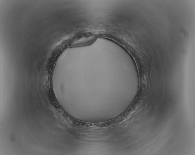 X0000110971398200907101339