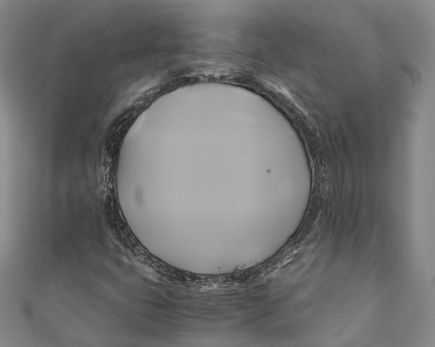 X0000110971399200907101339