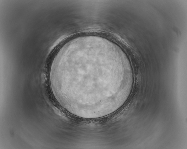 X0000110971400200907101339