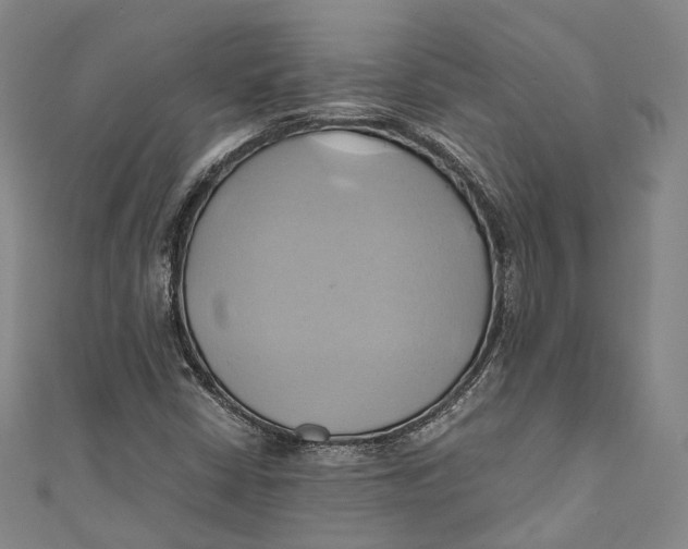 X0000110971402200907101339