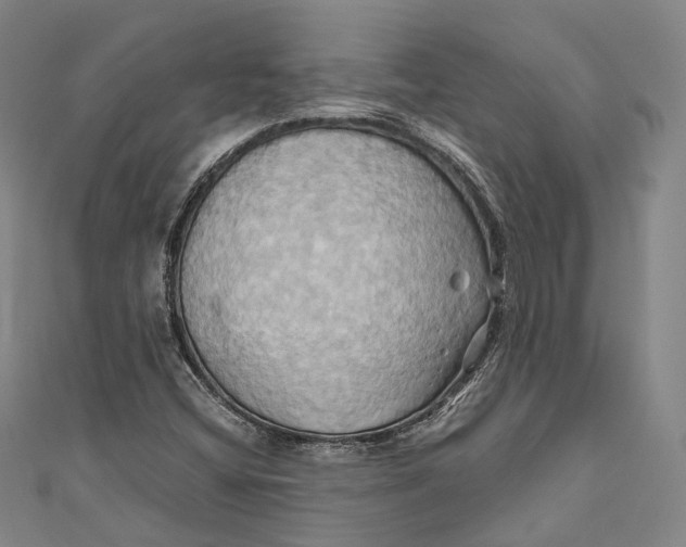 X0000110971404200907101339