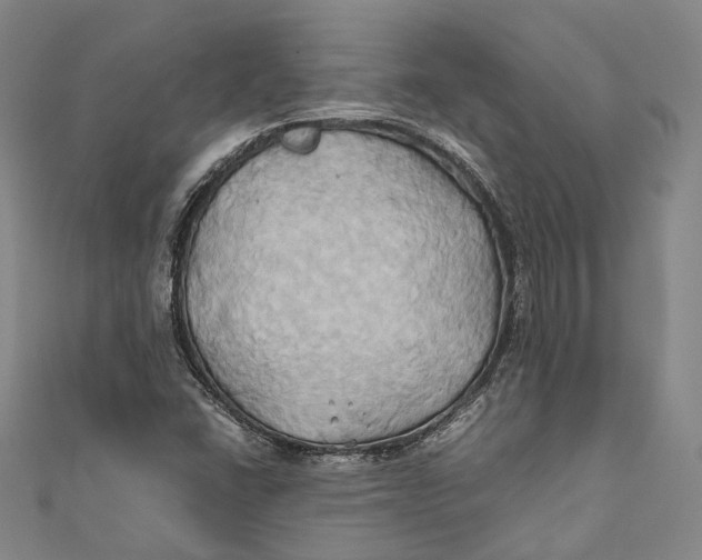 X0000110971406200907101339