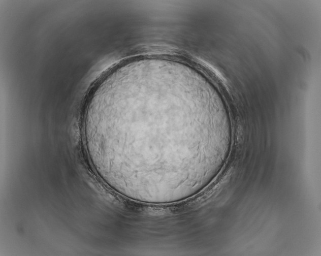 X0000110971407200907101339