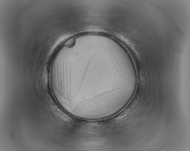 X0000110971408200907101339