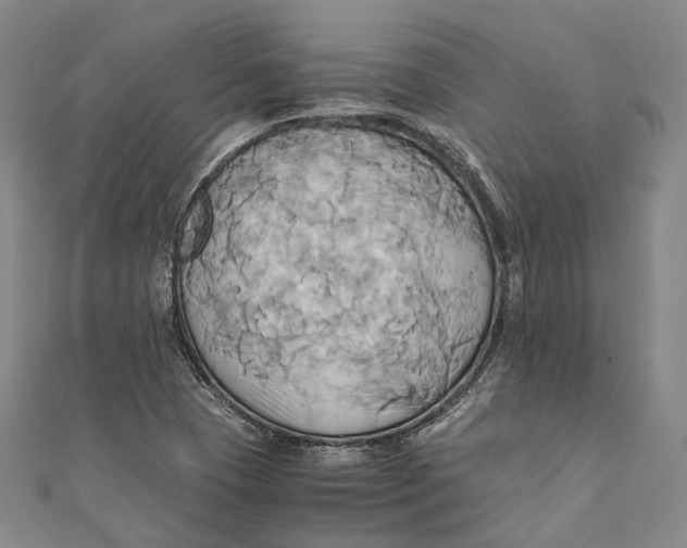 X0000110971409200907101339