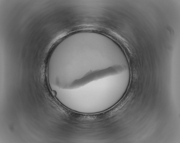 X0000110971411200907101339