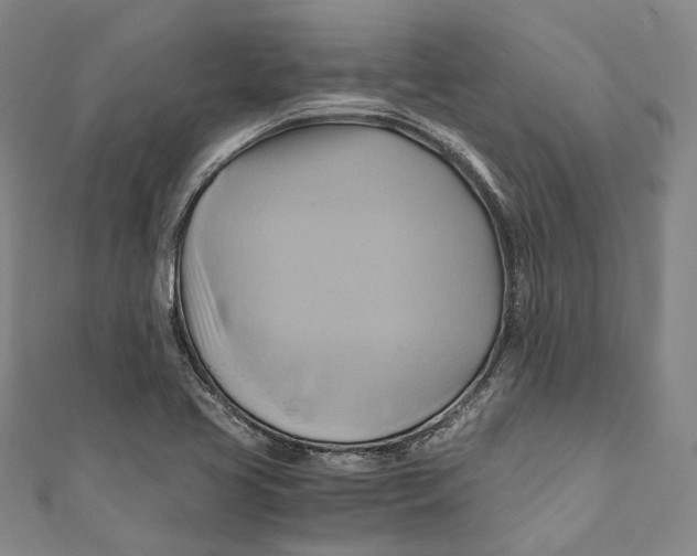 X0000110971413200907101339