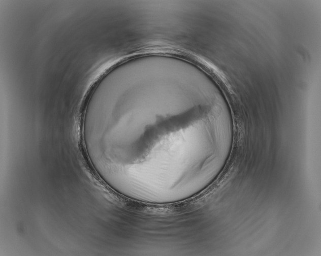 X0000110971415200907101339