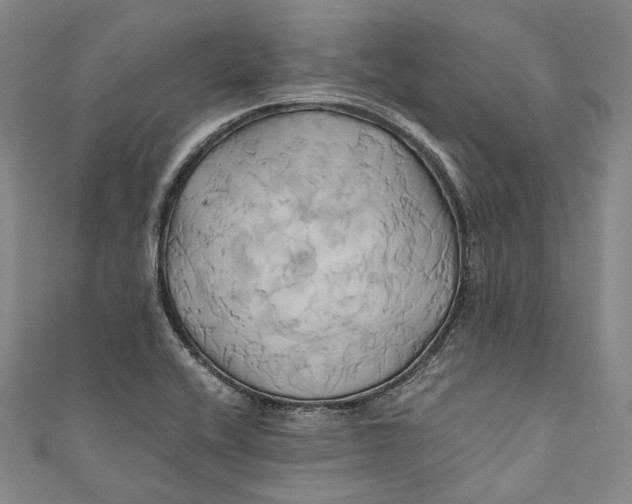 X0000110971416200907101339