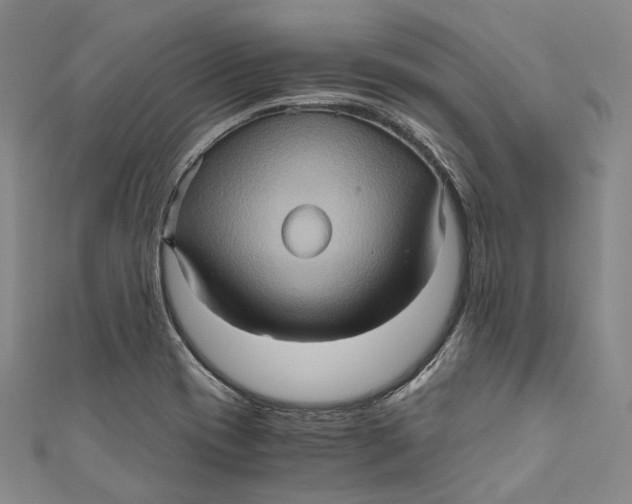 X0000110971417200907101339