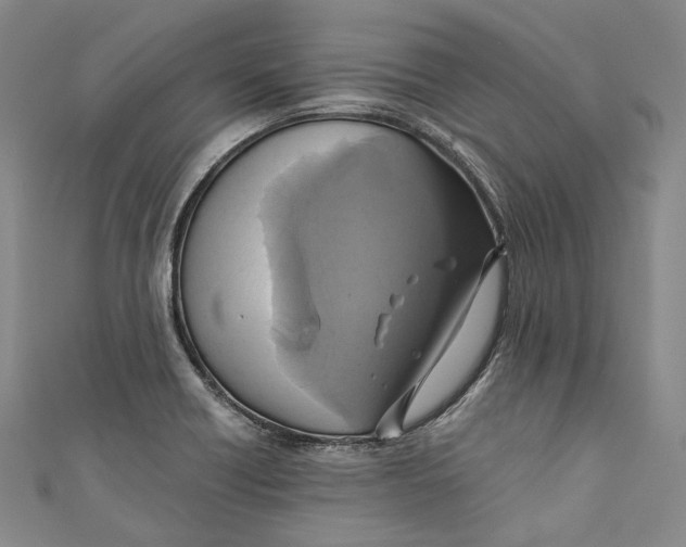 X0000110971418200907101339