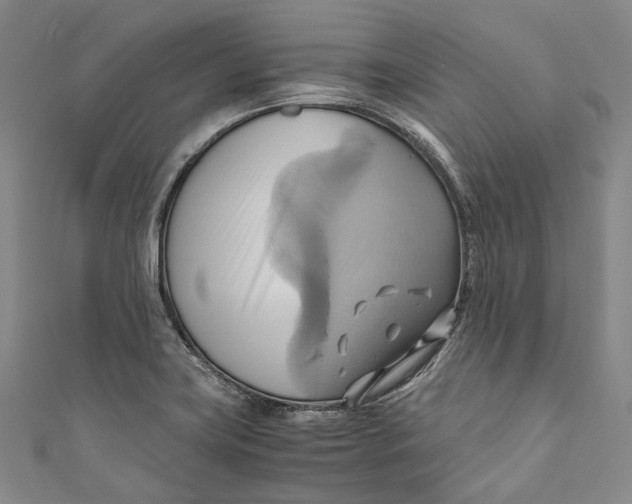 X0000110971419200907101339