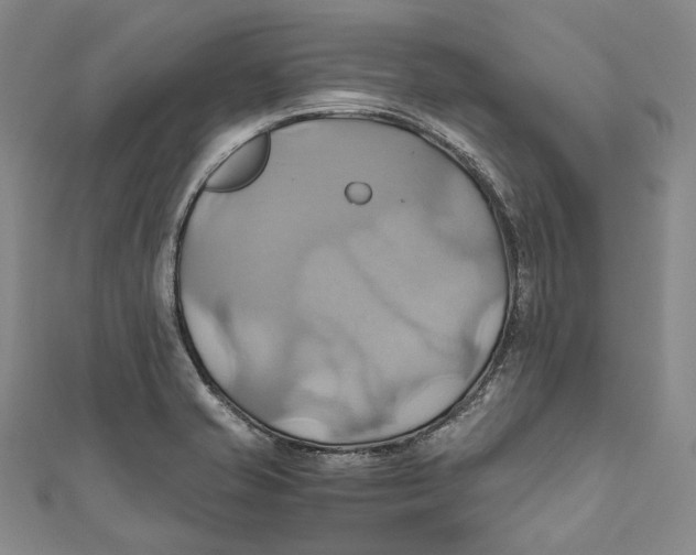 X0000110971421200907101339