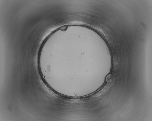 X0000110971422200907101339