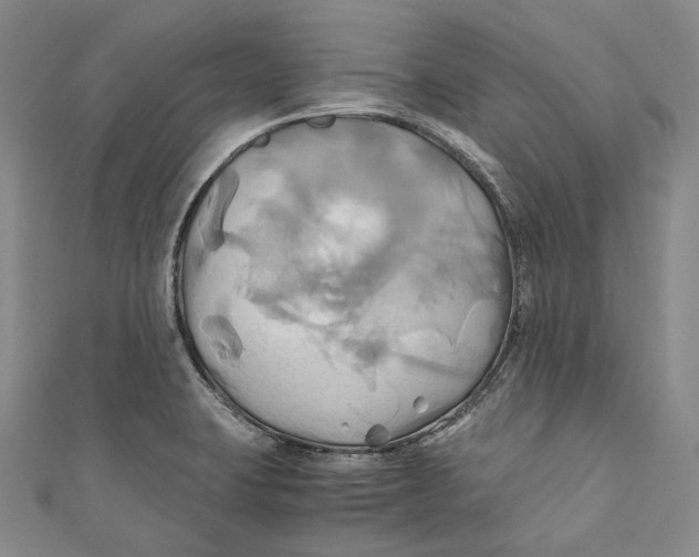 X0000110971423200907101339