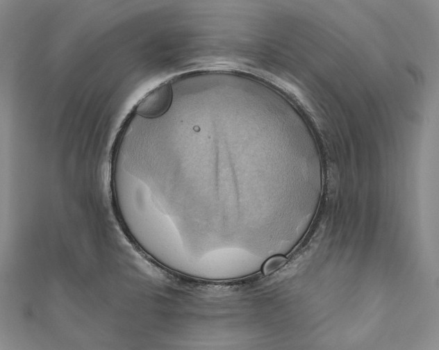 X0000110971424200907101339