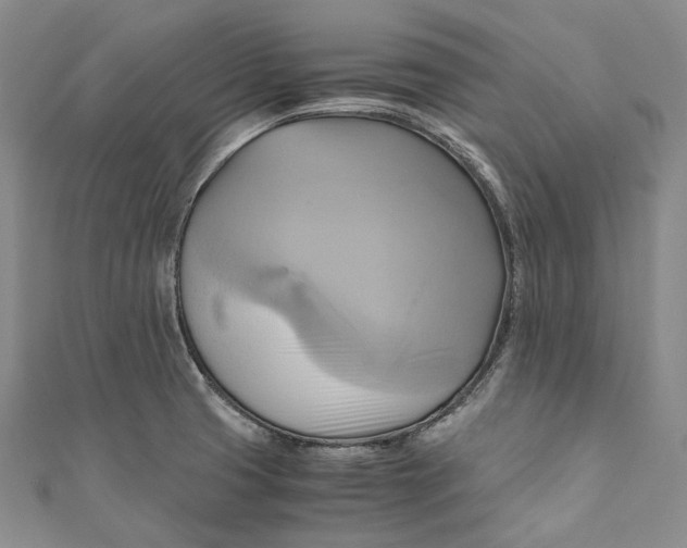 X0000110971425200907101339