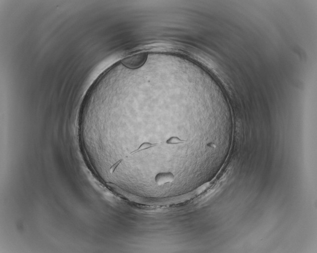 X0000110971426200907101339