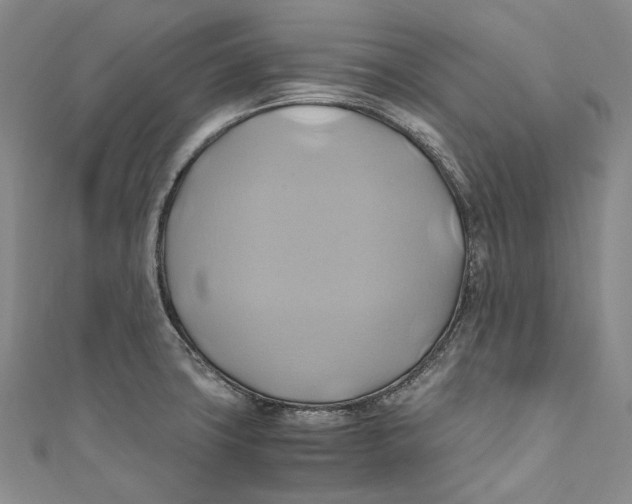 X0000110971427200907101339