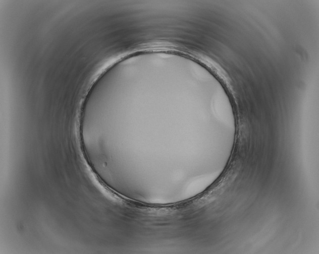 X0000110971429200907101339