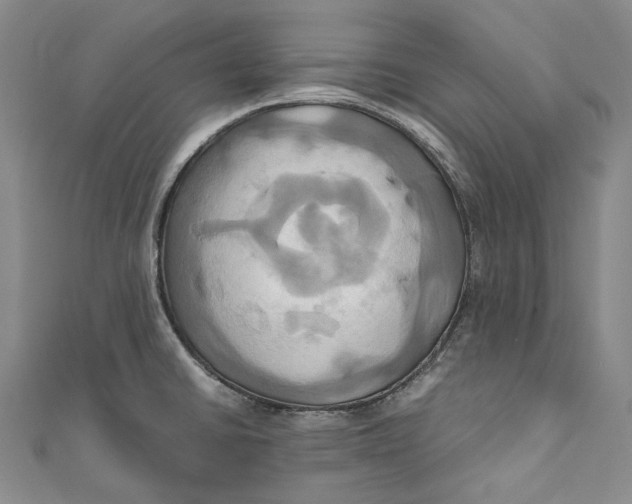 X0000110971430200907101339