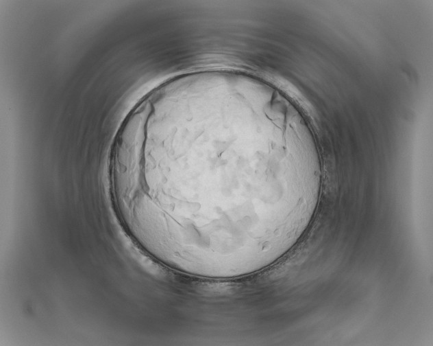 X0000110971431200907101339