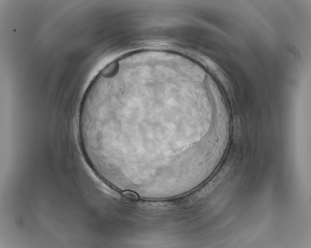 X0000110971432200907101339