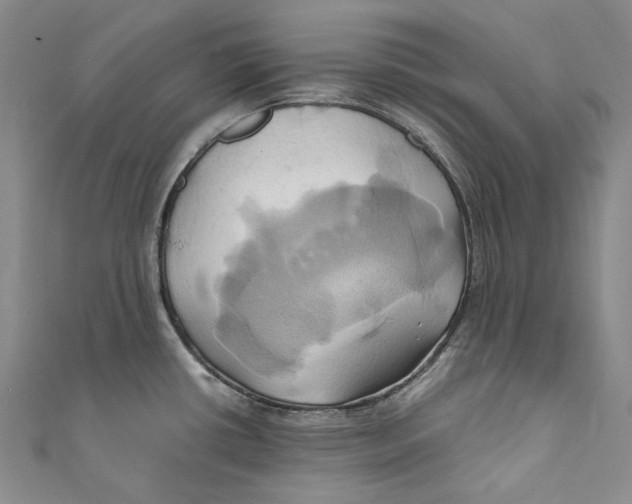 X0000110971434200907101339