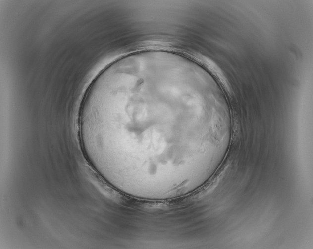 X0000110971435200907101339