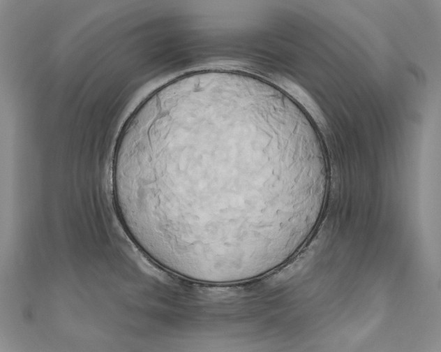 X0000110971436200907101339