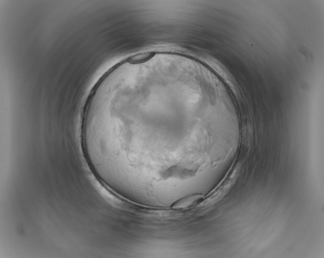 X0000110971438200907101339