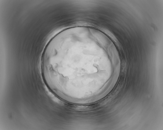 X0000110971439200907101339