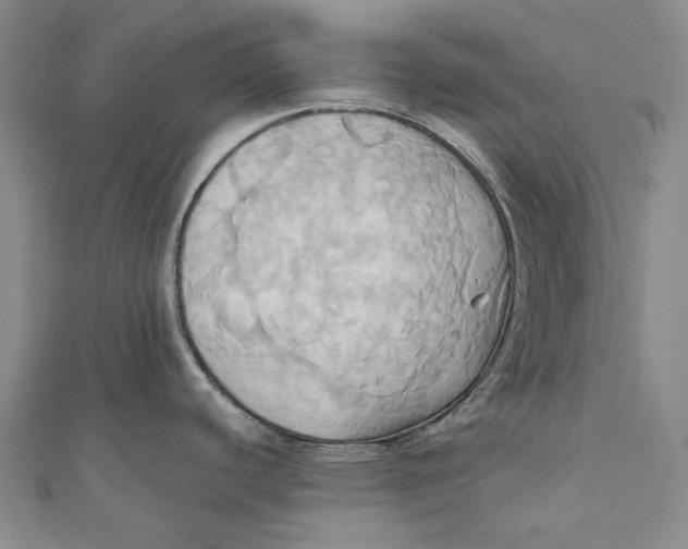 X0000110971440200907101339