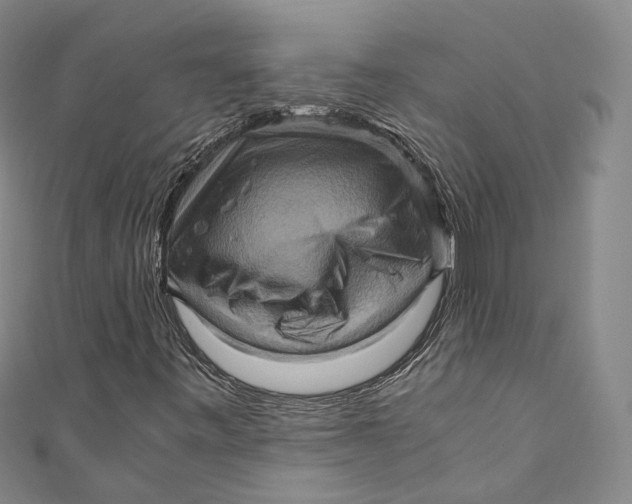 X0000110971443200907101339