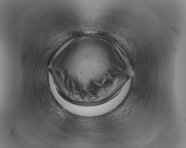 X0000110971444200907101339