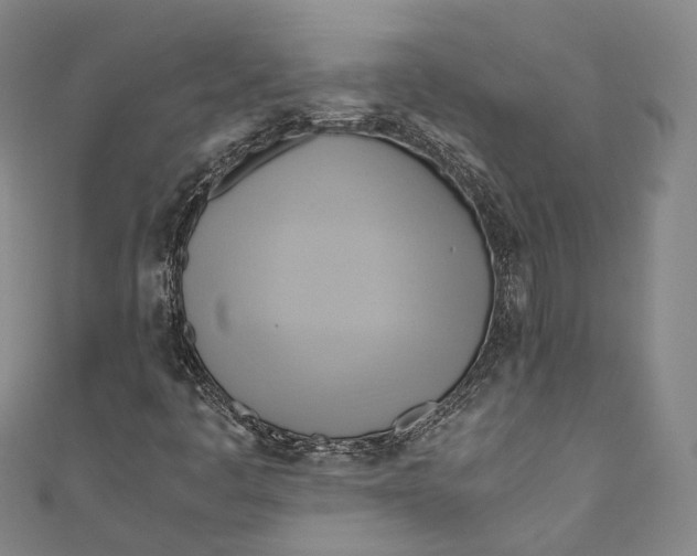 X0000110971445200907101339