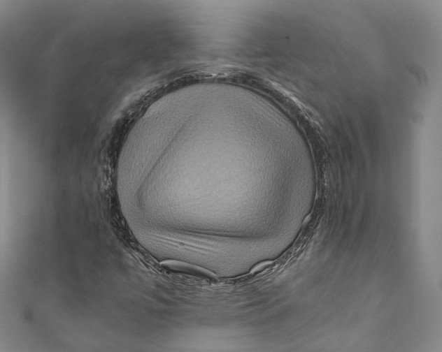 X0000110971447200907101339